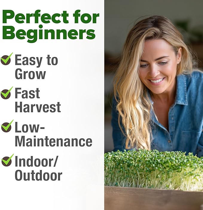 HOME GROWN Broccoli Seeds 8 oz - for Sprouting or Microgreens High Germination Sprout Seeds Nutritious Micro Greens - Broccoli Sprouts in 5 Days - Sulforaphane Rich