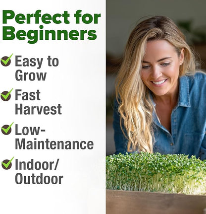 HOME GROWN Broccoli Seeds 8 oz - for Sprouting or Microgreens High Germination Sprout Seeds Nutritious Micro Greens - Broccoli Sprouts in 5 Days - Sulforaphane Rich