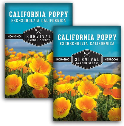 Survival Garden Seeds - California Poppy Seeds for Planting - 2 Packets with Instructions to Grow Eschscholzia Californica Plants in Your Home Flower Garden - Non-GMO Heirloom Wildflower Variety