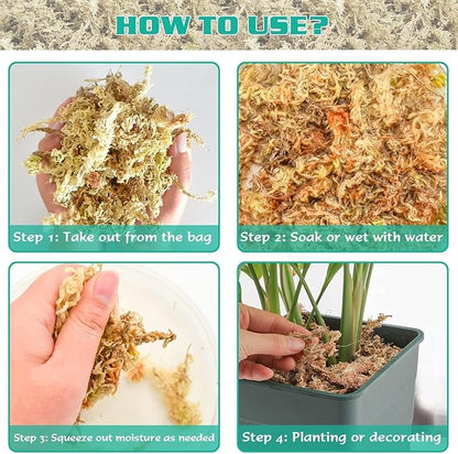 ZeeDix 1.1 lb Sphagnum Moss for Plants Indoor, Natural Long Fiber Sphagnum Orchid Moss Bulk for Carnivorous Plants, Succulents, Monstera, Flower & Reptile Terrariums Habitats (Expands to 25 qt)