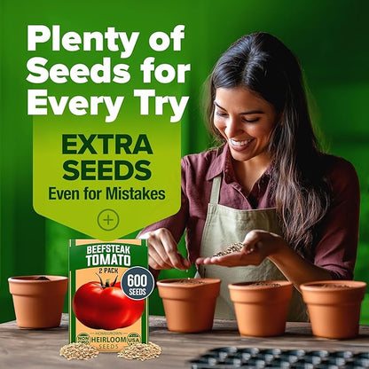 HOME GROWN Beefsteak Tomato Seed 2Pack - 600 Heirloom Tomato Seeds for Planting Outdoors High-Yield Non-GMO Vegetable Seeds for Growing Large, Meaty Tomatoes for Summer Dishes (Solanum lycopersicum)