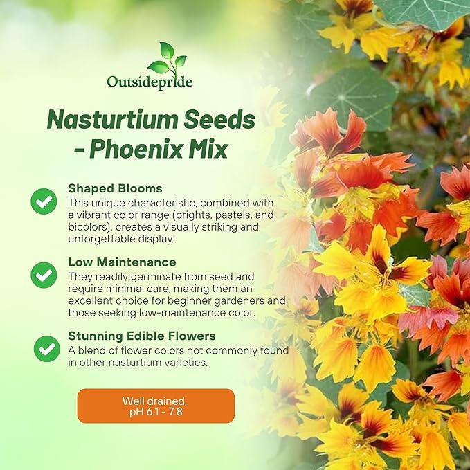 Outsidepride Phoenix Mix Nasturtium Seeds - 25 Pcs Annual, Easy to Grow & Versatile, Flower Seeds for Planting Vibrant Blooms, Ideal for Gardens, Borders, and Pollinator Gardens