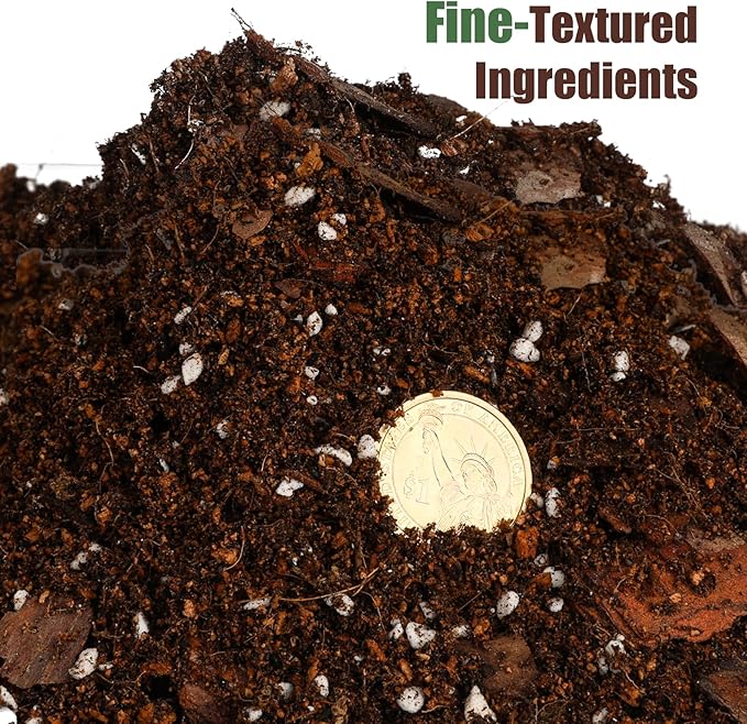 Organic Fiddle Leaf Fig Potting Mix 4qt, Indoor Plants Potting Mix for All Potted Ficus Lyrata Plant, Grow Healthy houseplants Indoors