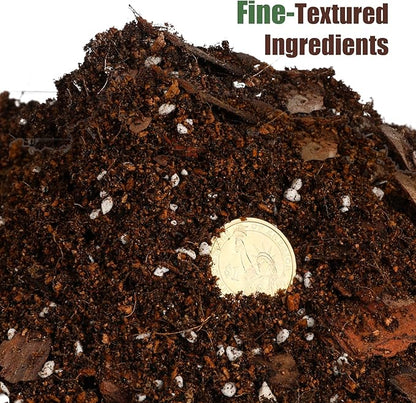 Organic Fiddle Leaf Fig Potting Mix 4qt, Indoor Plants Potting Mix for All Potted Ficus Lyrata Plant, Grow Healthy houseplants Indoors