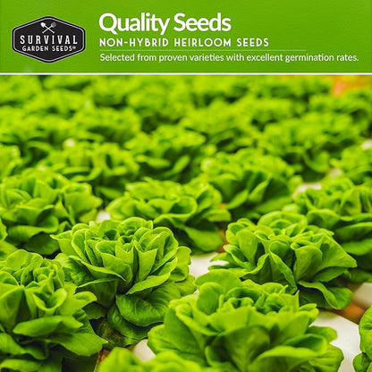 Hydroponics Vegetable Seed Collection for Planting - Watercress, Spinach, Siberian Kale, Swiss Chard, Buttercrunch, Oakleaf Lettuce Varieties to Grow Indoors Non-GMO Heirloom Survival Garden Seeds