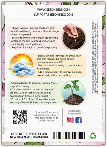 Seed Needs Showy Evening Primrose Seeds for Planting - Heirloom & Open Pollinated Perennial Flower Seed to Plant a Butterfly Garden (2 Packs)