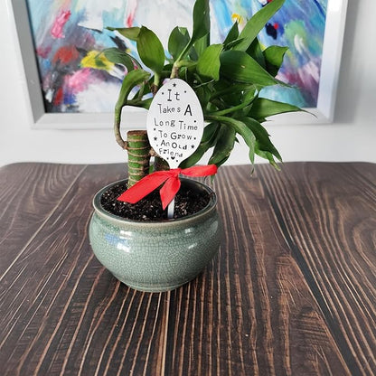 Garden Marker Friendship Gifts Label Stake, Creative Plant Marker Spoon Tag, Metal Garden Decorative Sign, Perfect Birthday Gardening Gifts for Friends