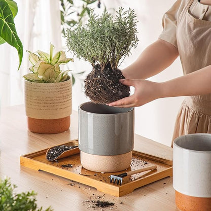 Self Watering Plant Pot: 6 Inch Ceramic Planter with Drainage Hole & Water Storage Plus - Flower Pot for Indoor & Outdoor Plants (Dark Grey, Small)
