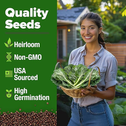 HOME GROWN Non GMO Collard Green Seeds - 300 Seeds for Fall Planting - High Germination Heirloom Vegetable Seeds, Vates Collard Greens Seed Pack (Brassica oleracea)