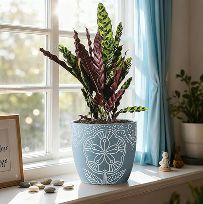 Terracotta Plant Pots,6.5+5+4.4 Inch Plant Pots Indoor with Drainage Hole- Floral Pattern,Blue Ceramic Planters for Indoor Plants,Boho decorative Flower Pots for Succulents,Herbs Plants,Set of 3