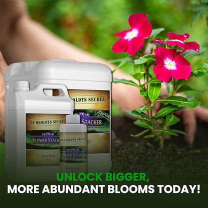 Humboldts Secret Flower Stacker | 0-7-5 Bloom Booster with Vitamin B1 | High Phosphorus Potassium Flowering Nutrients | Potting Soil Hydroponics Coco | Indoor & Outdoor Plants | 1 Gallon