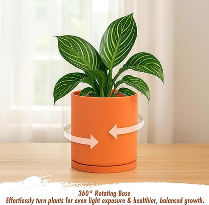D'vine Dev Double-Layer Planter Set – Rotating Plastic Cachepot with Clear Inner Liner for Root Health, Perfect for Indoor Plants, 6.5", Pumpkin, 73-U-E-2