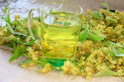 Goldenrod Showy 1000 Seeds (Solidago speciosa) Heirloom - Open Pollinated