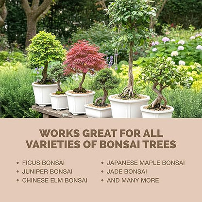 Bonsai Fertilizer for All Bonsai Trees, Great for Root Soaks, Liquid Plant Food, 32 oz (1 Quart)