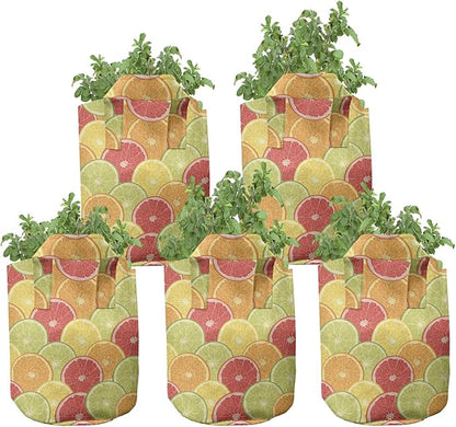 Ambesonne Colorful Grow Bags 5-Pack, Orange Lemon Fruits, Heavyduty Fabric Pots with Handles for Plants, Magenta Orange