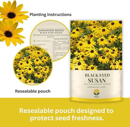 Black Eyed Susan Seeds – 100,000+ Seeds – 1 oz Bulk Extra Large Resealable Packet – Premium Non-GMO Rudbeckia hirta Wildflower Seeds with Bright Yellow Blooms