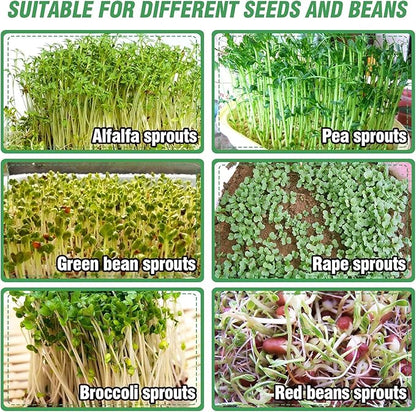 Stainless Steel Seed Sprouting Kit - 4-tier Microgreens Growing Tray 6in Dia, Stackable Round Seed Sprouter Maker with Encrypted Mesh, Sprouts Grower for Beans Broccoli Alfalfa Seeds Wheat Grass