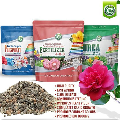 4-8-8 Azalea, Camellia, Gardenia & Evergreen Fertilizer - Made in USA - NPK + Micronutrients Plant Food for Indoor/Outdoor Plants & Flower Gardens