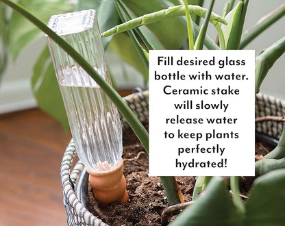 Syndicate Sales 67161200 Never Dry Plant Pal, Terra Cotta 4 Pk