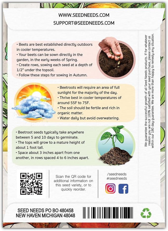 Seed Needs, Golden Detroit Beet Seeds - 250 Heirloom Seeds for Planting Beta vulgaris - Grow an Outdoor Garden Non-GMO & Untreated (5 Packs)