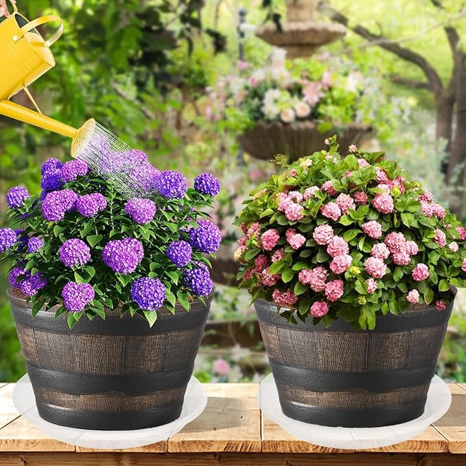 2 Pack of 25 26 inch Extra Large Clear Plant Saucer, Extra Deep 4.2" Tray for Flower Pot, Heavy Sturdy Plant Drainage Tray for Indoors, Bird Bath Bowls, Plant Plate Water Catcher for Pots (26", Clear)