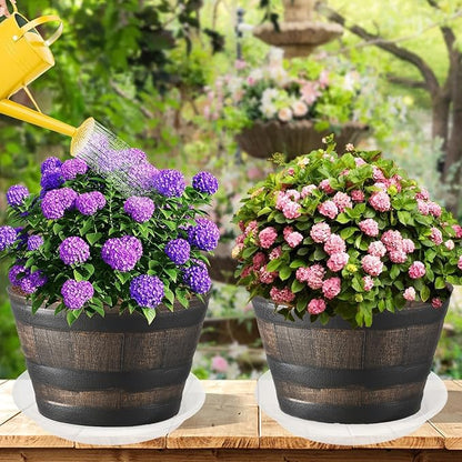 2 Pack of 14 inch Clear Plant Saucer, Plastic Plant Saucer 14 inch, Bird Bath Bowls, Heavy Duty Clear Plant Tray for Pots, Plant Saucers for Indoors Planter, Garden Water Plate 12"/13"/14"