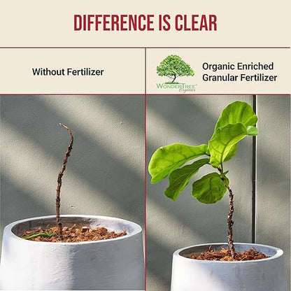 Eden Tomato Organic Enriched Fertilizer | Neem Plant Food 8-5-8 Enriched Formula | for Growing Healthy & Natural Tomatoes (5lbs)