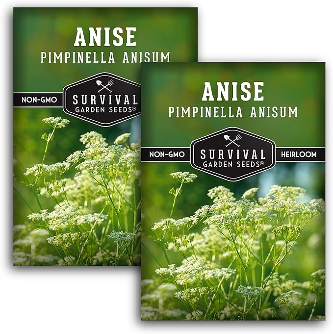 Anise Seeds for Planting - Sweet Anise Herb (Pimpinella anisum) - Culinary and Tea Garden Variety, Heirloom Non GMO - Survival Garden Seeds (2 Pack)