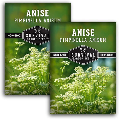 Anise Seeds for Planting - Sweet Anise Herb (Pimpinella anisum) - Culinary and Tea Garden Variety, Heirloom Non GMO - Survival Garden Seeds (2 Pack)