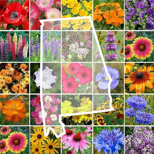 Eden Brothers Alabama Wildflower Mixed Seeds for Planting, 1 lb, 480,000+ Seeds with Cornflower, Cosmos, Blanket Flower | Attracts Pollinators, Plant in Spring or Fall, Zones
