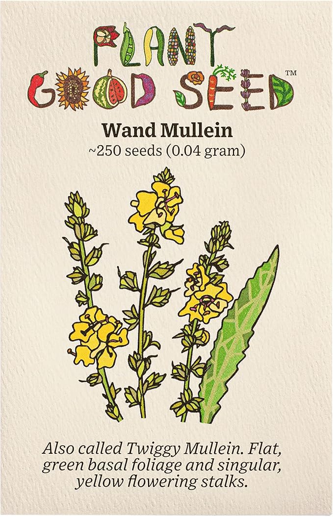 Plant Good Seed Wand Mullein Seeds - Pack of 250, Heirloom Seeds for Planting Herbs, Flowers - Gardening Supplies, Wildflower, Herb Garden, Flower Seeds to Plant Outside - from USA