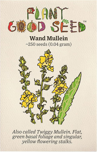 Plant Good Seed Wand Mullein Seeds - Pack of 250, Heirloom Seeds for Planting Herbs, Flowers - Gardening Supplies, Wildflower, Herb Garden, Flower Seeds to Plant Outside - from USA