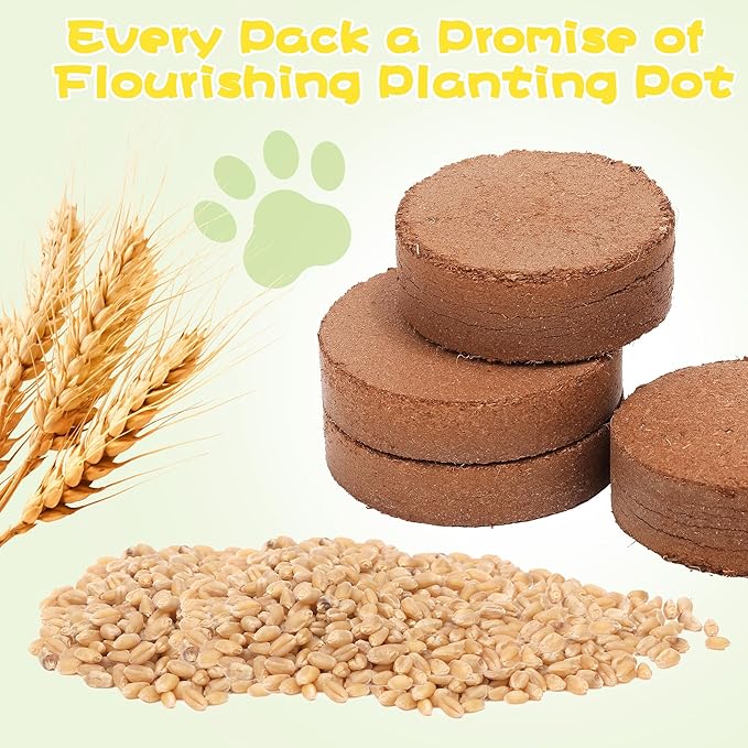 4 Pack Cat Grass Seeds Kit for Indoor Cats, Beginner Friendly Easy Grow Cat Grass Growing Kit, Fast Germinating, Natural Hairball Control, Safe Chewing Grass for Cats & Kittens