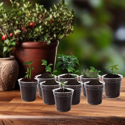 240 Pcs Clear Mini Nursery Pots for Plants, 2 Inch Plastic Seedling Clear Plant Pots with Drainage Holes, Seed Starting Trays for Various Seeds Indoor & Outdoor Flower Planters