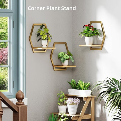 Modern Golden Hexagon Wall Planters with Solid Wood Shelves Set of 3 Geometric Floating Wall Decor for Indoor Plants, Stylish Wall Mounted Display for Succulents & Small Plants