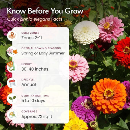 Created By Nature, Dahlia Zinnia Wildflower Seed Mix, Red, Pink, Orange, Yellow, Purple, and White Annual Flower Seeds, 2,125 Wildflower Seeds Bulk for Pollinator Gardens (Zinnia elegans)