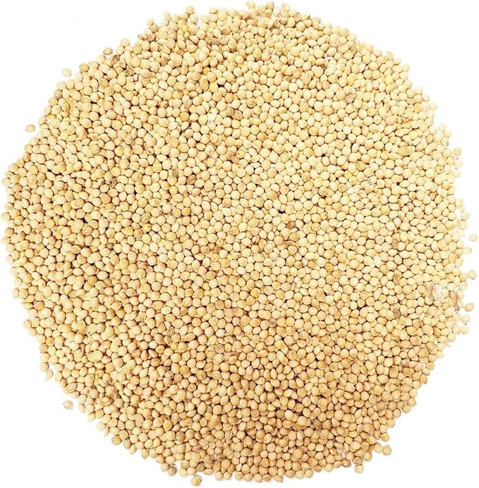 CountryMax Backyard Seeds White Millet Bulk Wild Bird Seed - Premium Finch Food (10 Pounds)