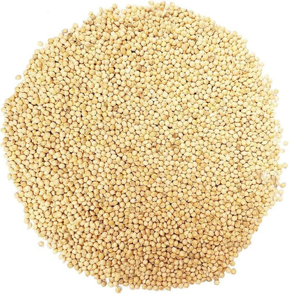 CountryMax Backyard Seeds White Millet Bulk Wild Bird Seed - Premium Finch Food (10 Pounds)