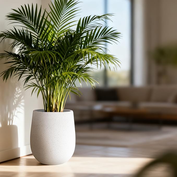 Worth Garden White Large Round Planter, 9" Dia x 13" H Lightweight Magnesium Oxide Cement Plant Pot with a Striped Textured Finish, Raised Pattern Concrete Look, Drainage Hole, Indoor & Outdoor Use