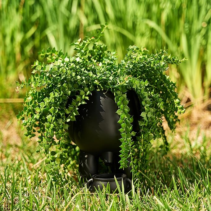 Hanging Skull Planter Pot with Chain and Hook Gothic Skeleton Candy Bowl Trick or Treat Bucket Spooky Skull Flower Pot Creepy Horror Home Decor Outdoor Indoor Garden Decoration 6 Inch Bronze Planter