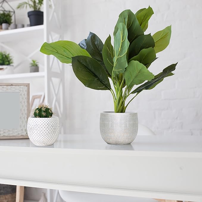Olly & Rose Ceramic Cream Gold Plant Pot Set 2-6.8" and 5.5" Indoor Planters Cement Outdoor Flower Pots