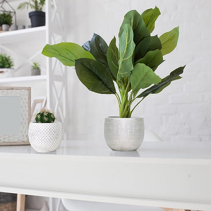 Olly & Rose Ceramic Cream Gold Plant Pot Set 2-6.8" and 5.5" Indoor Planters Cement Outdoor Flower Pots
