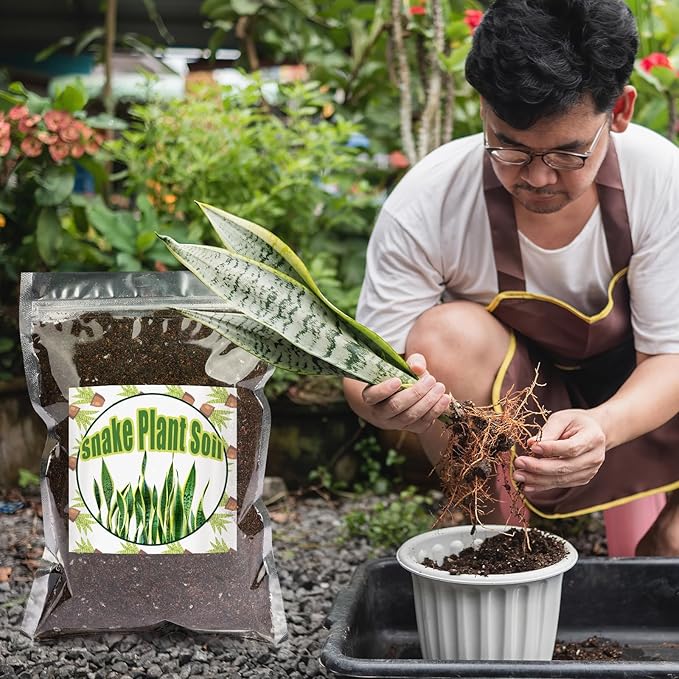 Premium Snake Plant Soil Mix 10qt, Indoor Plants Potting Mix for All Potted Snake Plants, Promote Healthy Growth and Easy Care, black