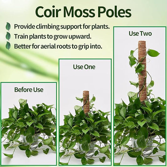 8 Pcs Moss Pole for Plants Monstera, Plant Support Stakes for Indoor Climbing Plants Grow Upwards, with 65ft Twist Ties, 13ft Jute Rope, 6.5ft Hook-and-Loop Strip