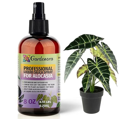 𝐁𝐄𝐒𝐓𝐒𝐄𝐋𝐋𝐄𝐑 Liquid Silica Boost Fertilizer and Supplement Spray for ALOCASIA Plants - Premium Ready-to-Use Liquid Silicon Plant Superfood Mist for Indoor & Outdoor Alocasia Plants - 8oz