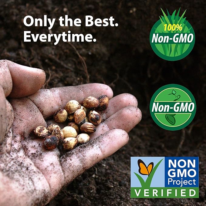 Non-GMO Alfalfa Seeds - 1 Lbs - High Germination, Conventional Seed - Gardening, Cover Crop, Field Growing, Food Storage & More