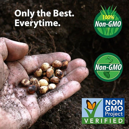 Non-GMO Alfalfa Seeds - 1 Lbs - High Germination, Conventional Seed - Gardening, Cover Crop, Field Growing, Food Storage & More