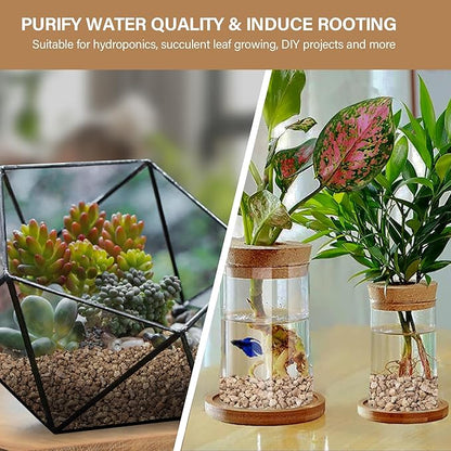 NUPICK 6lb Maifanitum Stones for Succulent, 1/8"-1/4" Golden Pea Gravel for Cactus, Small Pebbles for Indoor Plants Soil Covers, Decorative Rocks for Bonsai, Vases Fillers, Aquarium, Top Dressing