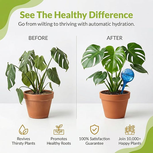 Automatic Plant Watering Globes Self Watering Planter Inserts (Set of 6) | Hands Free Multicolor Glass Bulbs | Planter Spikes to Support Indoor & Outdoor Plant Health (100ml)
