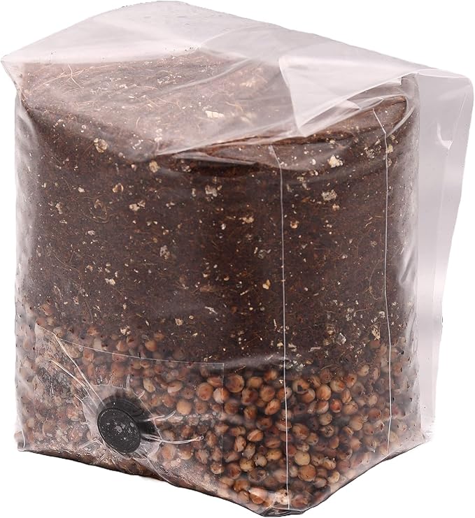 Mini Red Milo All-in-One Mushroom Grow Bag